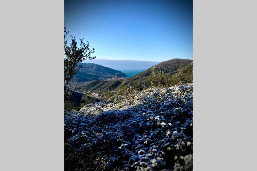 Casa Sara, Levanto, In Collina Ad Un Passo Dal Mare! Экстерьер фото